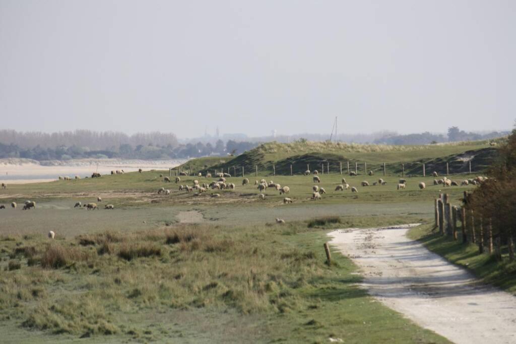 Gite Ouest De La Pointe D'Agon 외부 사진