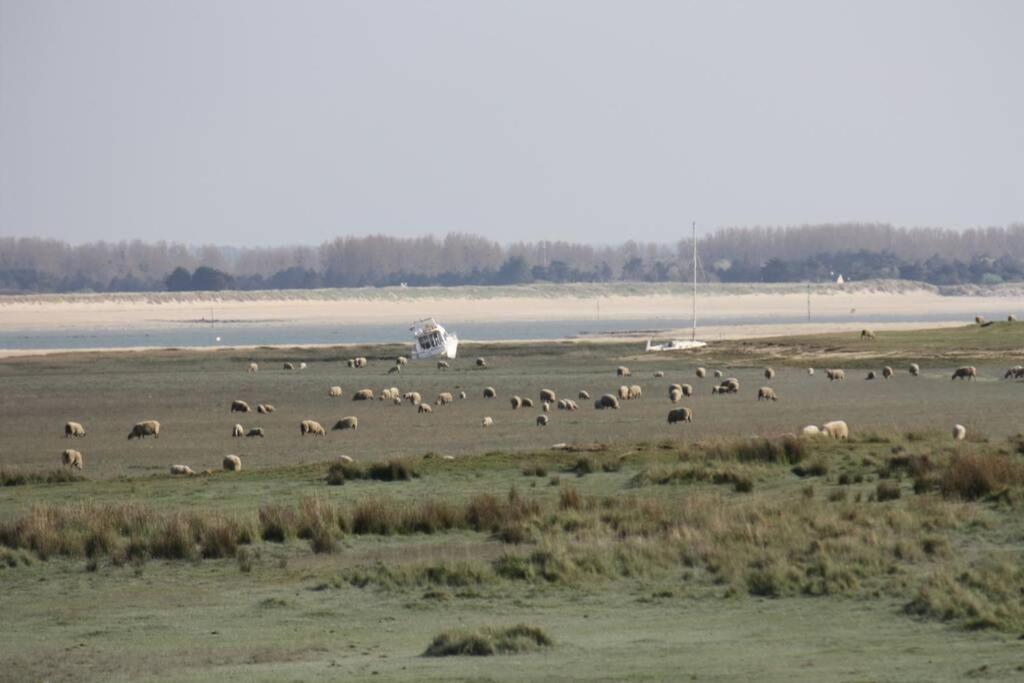 Gite Ouest De La Pointe D'Agon 외부 사진