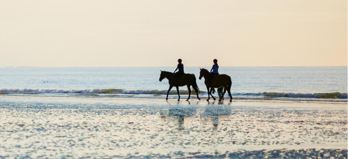 Gite Ouest De La Pointe D'Agon 외부 사진